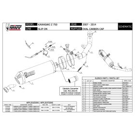 MIVV Silencieux Slip-on Ovale en Carbone pour KAWASAKI Z 750