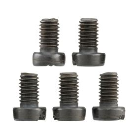 Kit 5 viti copriventola PASCOLI M6x10mm acciaio