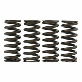 POLINI Ventilfedern 4 Stück für Vespa Gts 300