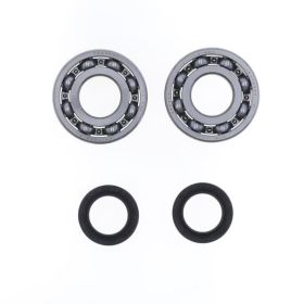 Kit revisione albero motore ATHENA P400210444011 NTN per Peugeot