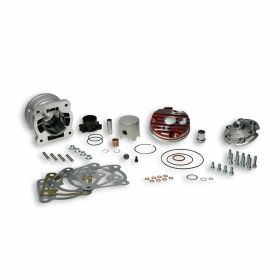 Zylinderkit MALOSSI 3115883