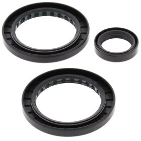 Kit revisione cuscinetti differenziale ALL BALLS posteriori 25-2056-5 Polaris SPORTSMAN