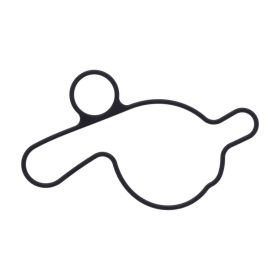 Original water pump gasket JMP 19229-NN4-000 for Honda COTA