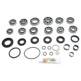 Kit revisione differenziale ALL BALLS 25-7010 completo per Polaris