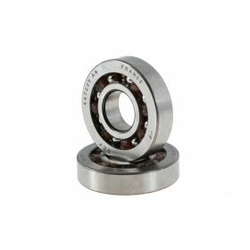 Kurbelwellenlager kit MALOSSI 6614423E