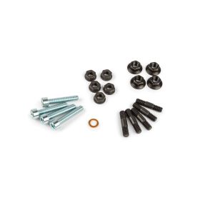Kit viti gruppo termico Stage6 R/T 100CC flr