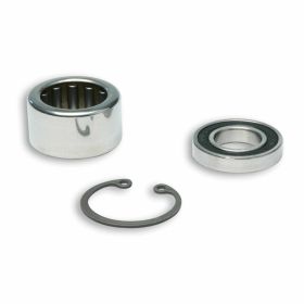 Variator stück MALOSSI 2011754