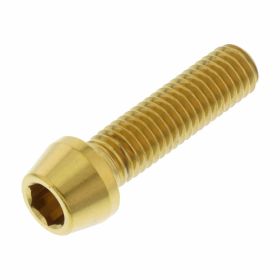 PRO-BOLT Stainless Steel Tapered Screw M8x1.25 30mm Glossy