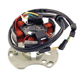 Stator moto RMS 246350052