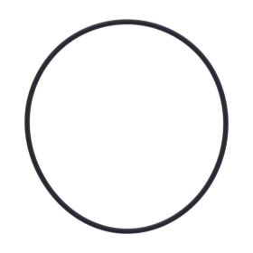 Original HONDA Motor O-Ring 2x74,5mm