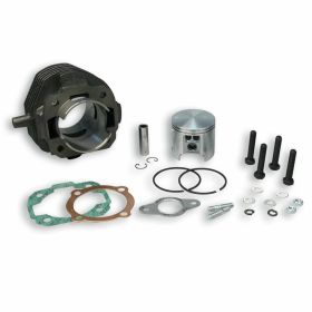 Zylinderkit MALOSSI 31 8693