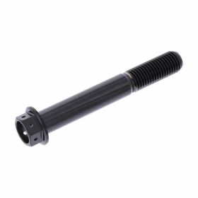 PRO-BOLT Racing Sechskantschraube Edelstahl M10x1,25 70mm glänzend