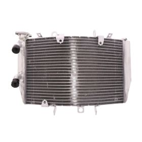 JMP Wasser-Radiator TRS-R-616 für Triumph SPEED TRIPLE