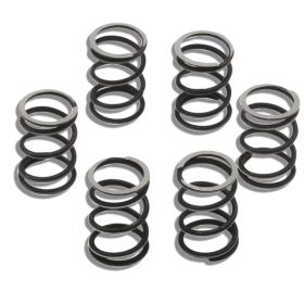 MALOSSI 29 4586 Clutch springs