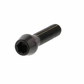 PRO-BOLT konische Schraube Edelstahl M8x1,25 30mm schwarz eloxiert