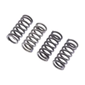 EBC CSK260 Kupplungsfeder Kit für Triumph BONNEVILLE
