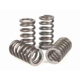 MALOSSI 2912235 Clutch springs