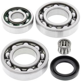 Kit revisione cuscinetti differenziale ALL BALLS posteriori 25-2018 per Kawasaki KLF