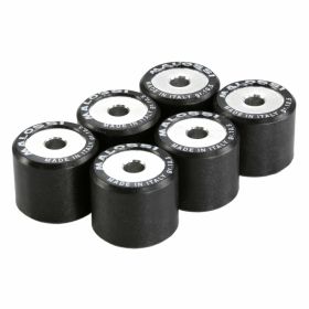 Variomatik roller MALOSSI 6611095.I0