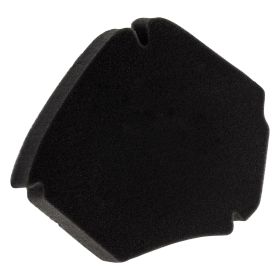 Éponge de filtre à air PIAGGIO PREMIUM 8347410P pour GILERA/PIAGGIO Easy Moving/ZIP