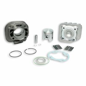 Zylinderkit MALOSSI 31 7083