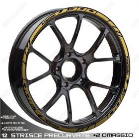 IRIDEA DESIGN BR-1413GO00009 Motorcycle rim stickers