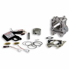 Haut moteur cylindre MALOSSI 3117559