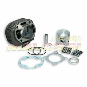 Haut moteur cylindre MALOSSI 3113067