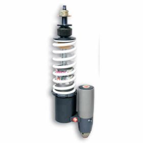 MALOSSI M4614236 AMMORTIZZATORE RS24/10