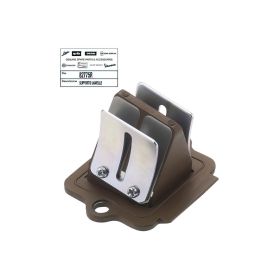 Piaggio Lamellenpackung für Typhoon/Stalker
