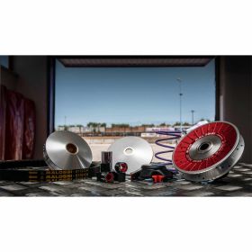 Variator kit MALOSSI 6115780