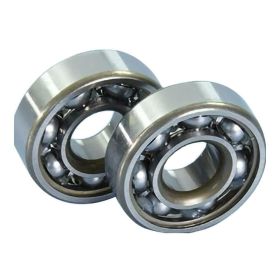 POLINI Motorengehäuselagerkit 16x42x13mm Mbk