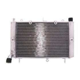 JMP Wasser-Radiator 2019040119 für Yamaha FZS 1000