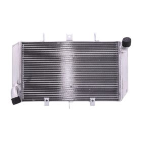 JMP Wasser-Radiator 2020112309 für Kawasaki