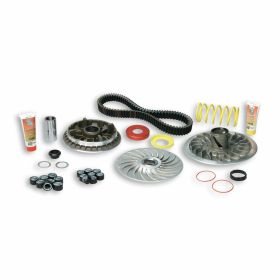 Variator kit MALOSSI 6114885