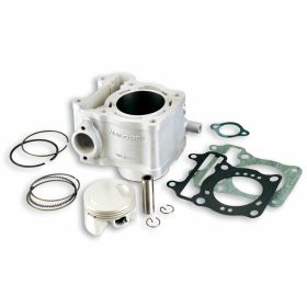 Haut moteur cylindre MALOSSI 3111627