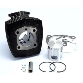 POLINI Thermal Group D.46 stroke 39 65cc in cast iron