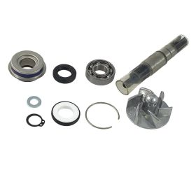 JMP BC49R-0043 Wasserpumpen-Überholungsset für Daelim