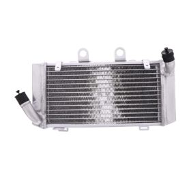 JMP Wasser-Radiator 2019040105 links für Honda XL 1000