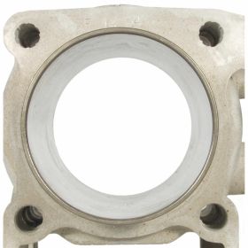 Zylinderkit MALOSSI 3111248