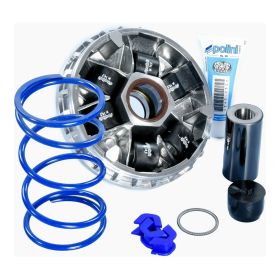 VARIATEUR POLINI HI-SPEED SYM 300 EURO 5