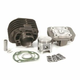 Zylinderkit MALOSSI 3113066