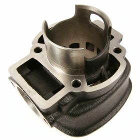 Zylinderkit MALOSSI 3112044