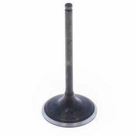 ATHENA VI-510001S Steel Intake Valve for Suzuki