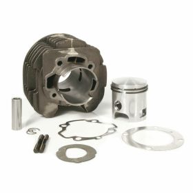 POLINI Thermal Group D.69 stroke 60 225cc pin 18 cast iron cylinder