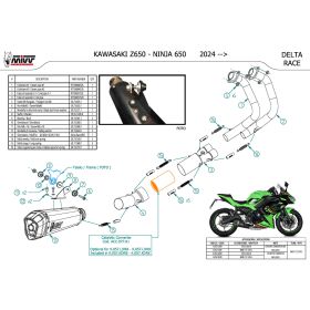 Komplettes MIVV Delta Race Auspuffsystem aus Edelstahl für KAWASAKI z650