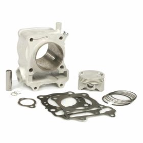 Haut moteur cylindre MALOSSI 3111588