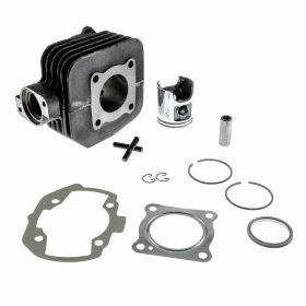 POLINI Thermal Group D.40 cast iron cylinder