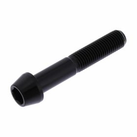 PRO-BOLT Stainless Steel Conical Screw M10x1.25 55mm Glossy
