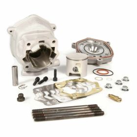 Haut moteur cylindre MALOSSI 3112376